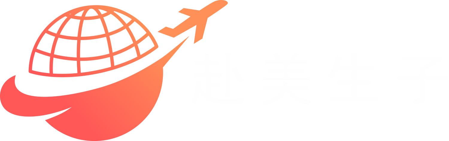 去美国生孩子